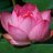 Mmarin_ka